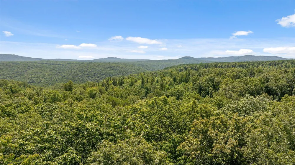 1537 Vulcan Road Rising Fawn, GA 30738