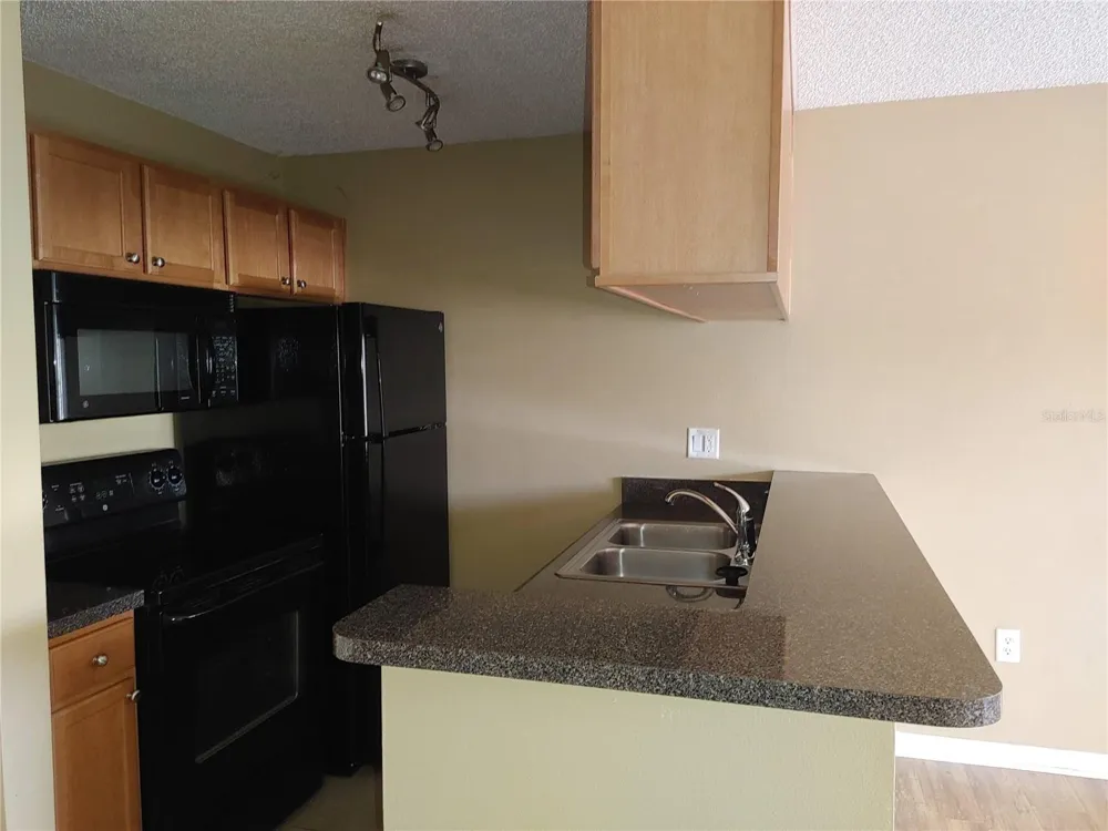 215 LAKE BROOK CIRCLE #201 Brandon, FL 33511