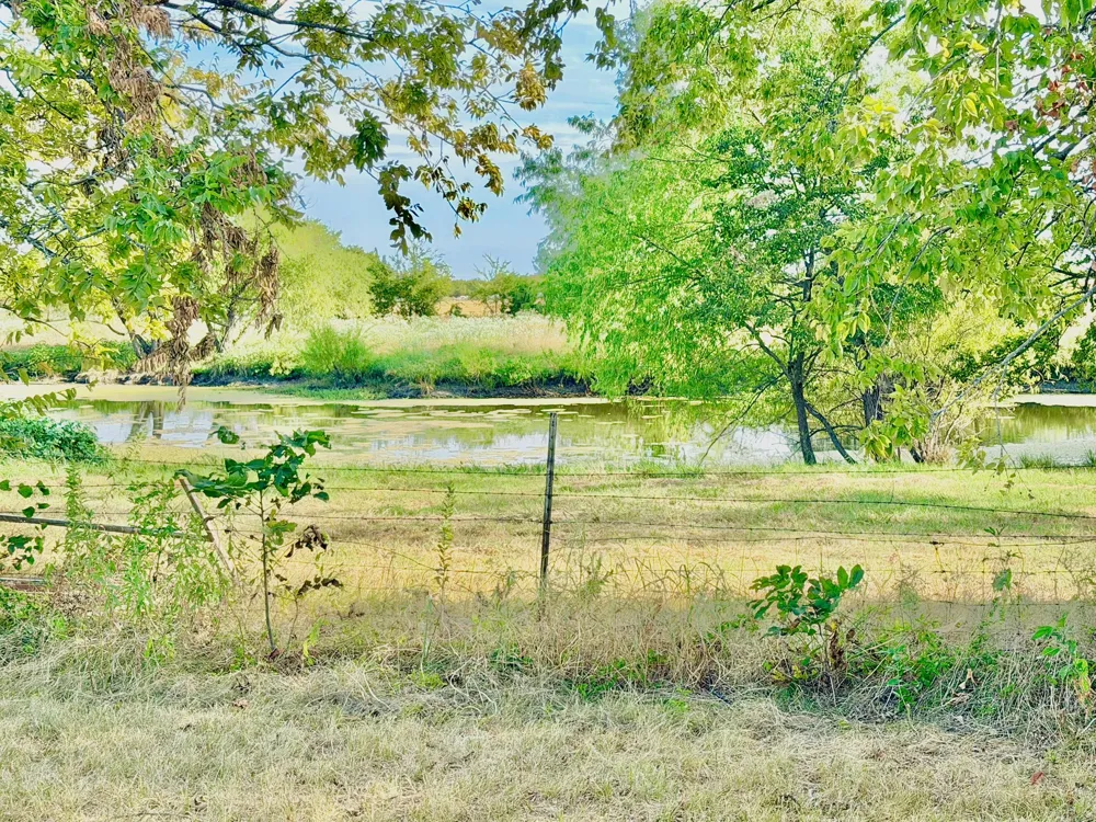 26272 State Highway 56 Whitesboro, TX 76273