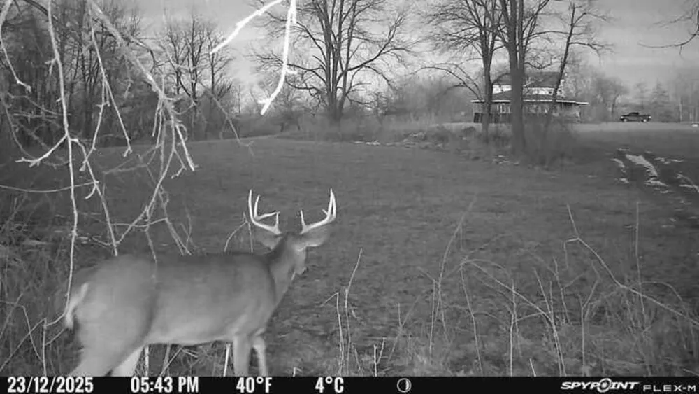 12800 Litts Road Delton, MI 49046