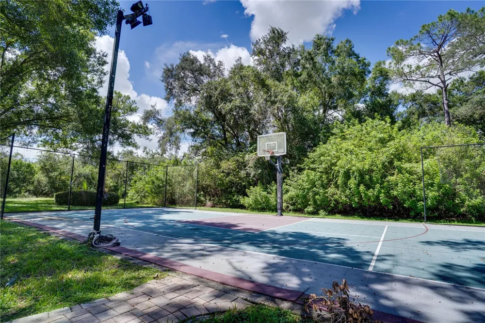 12511 PALOMINO COURT Tampa, FL 33626