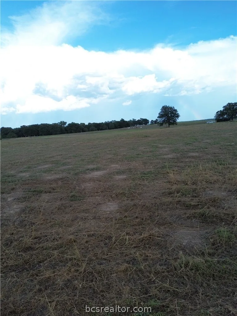 Grant Prairie Rd Franklin, TX 77856