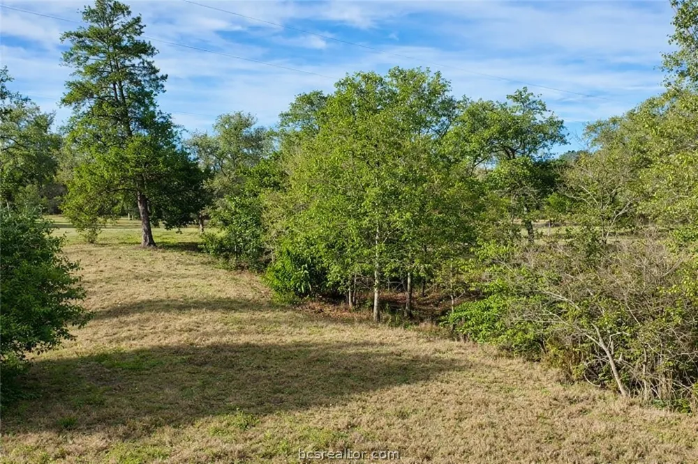 S FM 46 (+/- 10 acres) Franklin, TX 77856