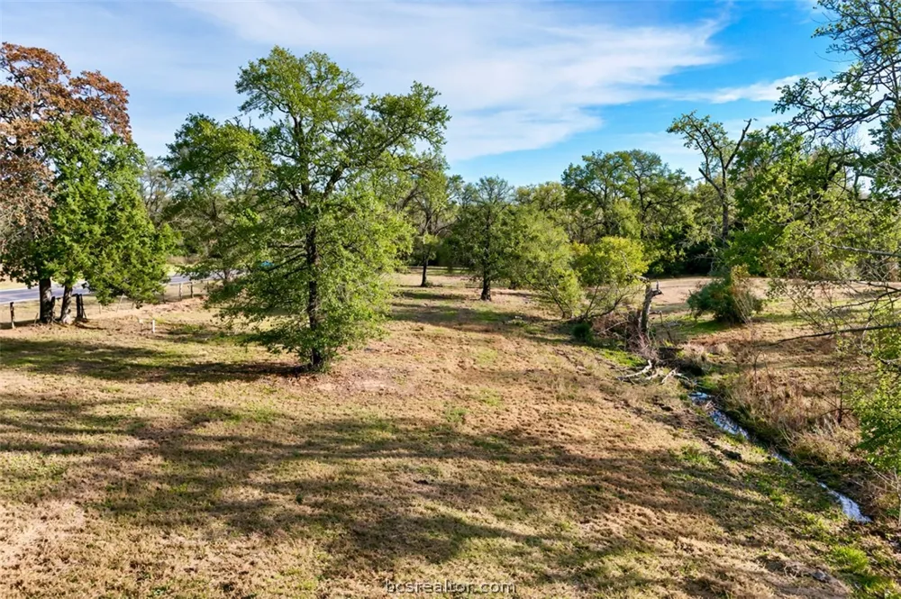 S FM 46 (+/- 10 acres) Franklin, TX 77856