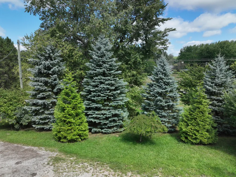 3685 Cypress Road Blanchard, MI 49340