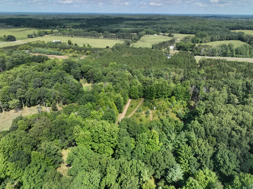 3685 Cypress Road Blanchard, MI 49340