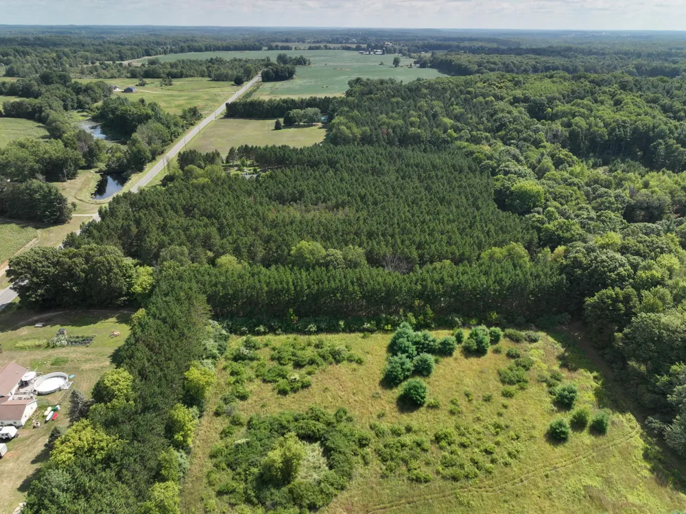 3685 Cypress Road Blanchard, MI 49340