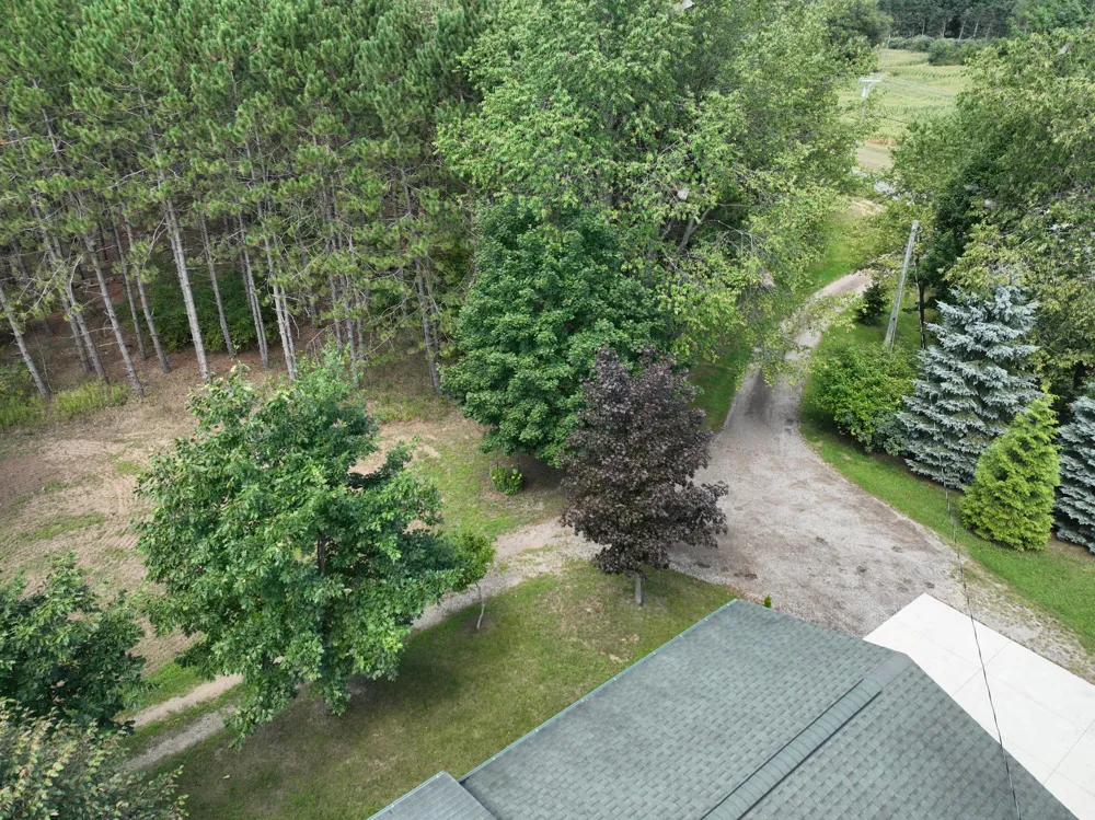 3685 Cypress Road Blanchard, MI 49340
