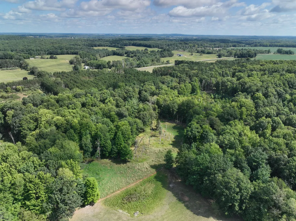 3685 Cypress Road Blanchard, MI 49340