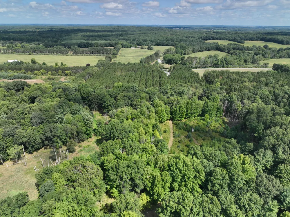 3685 Cypress Road Blanchard, MI 49340