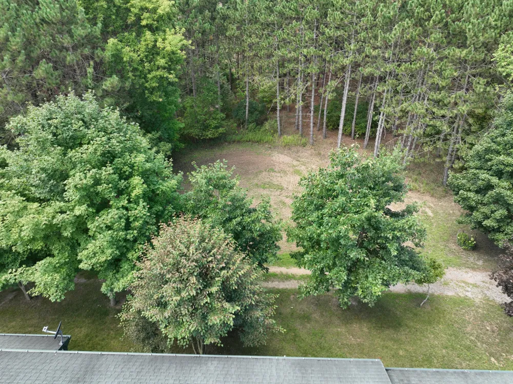 3685 Cypress Road Blanchard, MI 49340