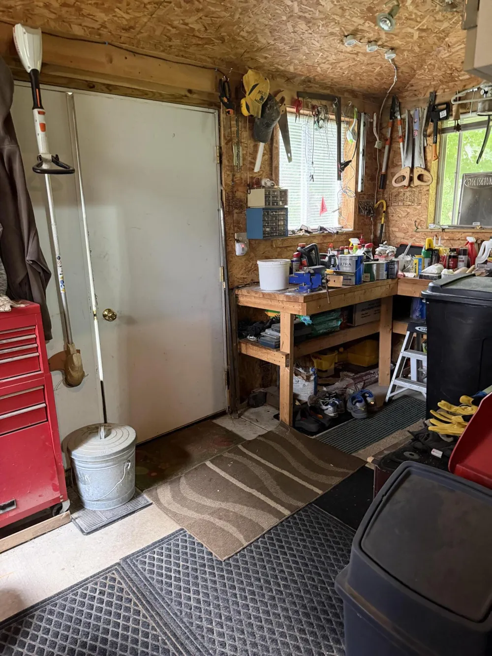 3685 Cypress Road Blanchard, MI 49340