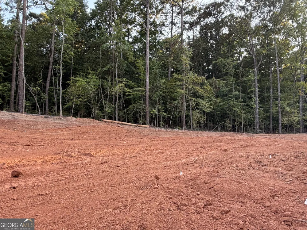 169 Avalee RD Brooks, GA 30205