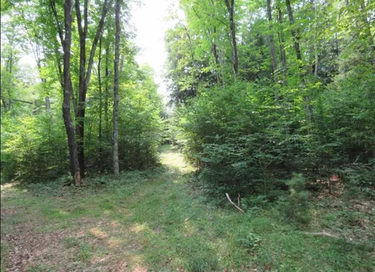 13999 County Road 440 Nahma, MI 49895