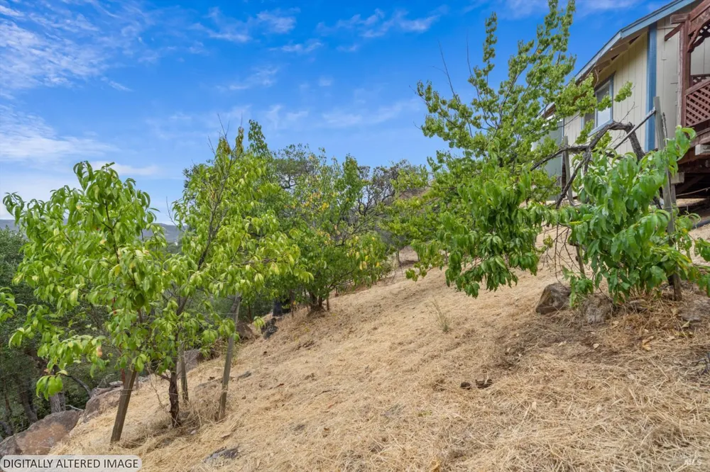 2709 Harness Drive Pope Valley, CA 94567