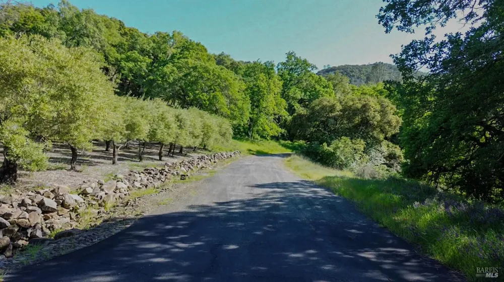 40 Long Ranch Road St. Helena, CA 94574