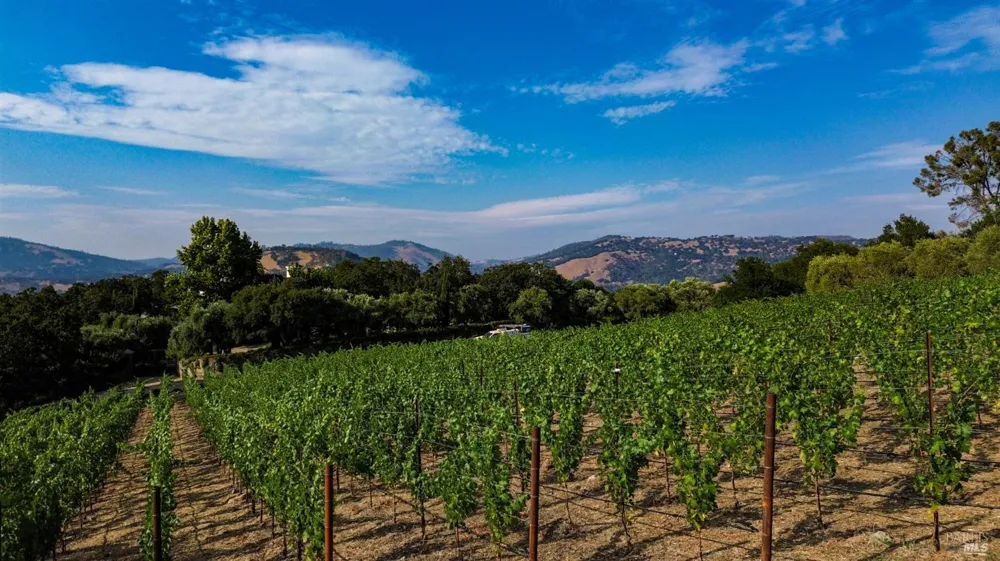 40 Long Ranch Road St. Helena, CA 94574