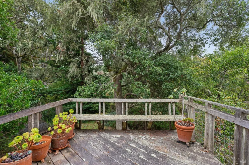 6 Cameron Street Inverness, CA 94937