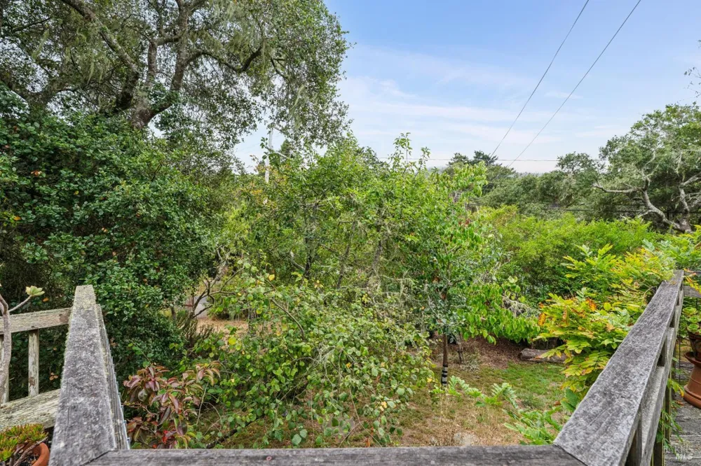6 Cameron Street Inverness, CA 94937