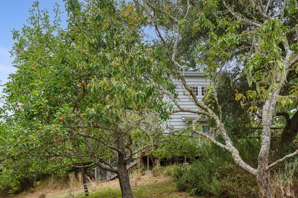 6 Cameron Street Inverness, CA 94937