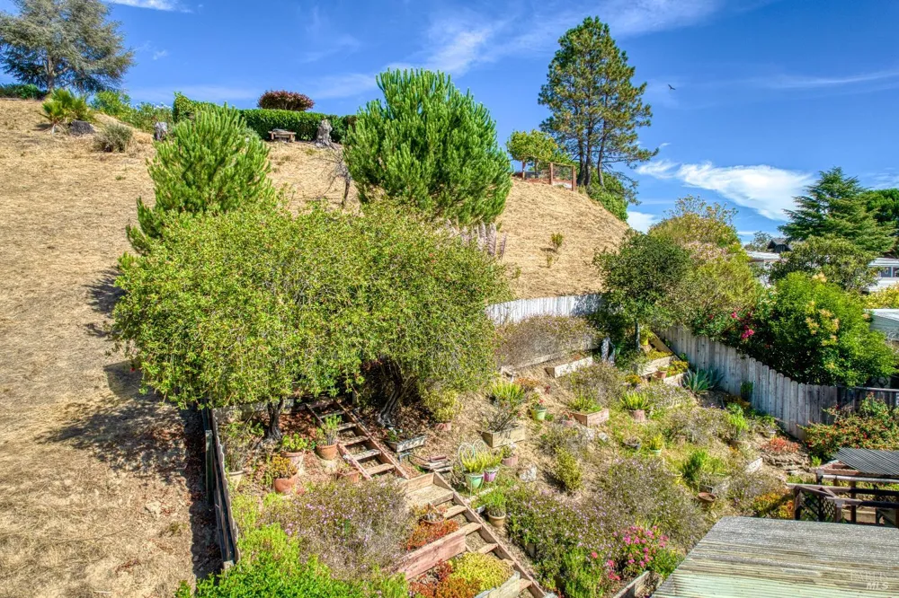 59 Marin Valley Drive Novato, CA 94949