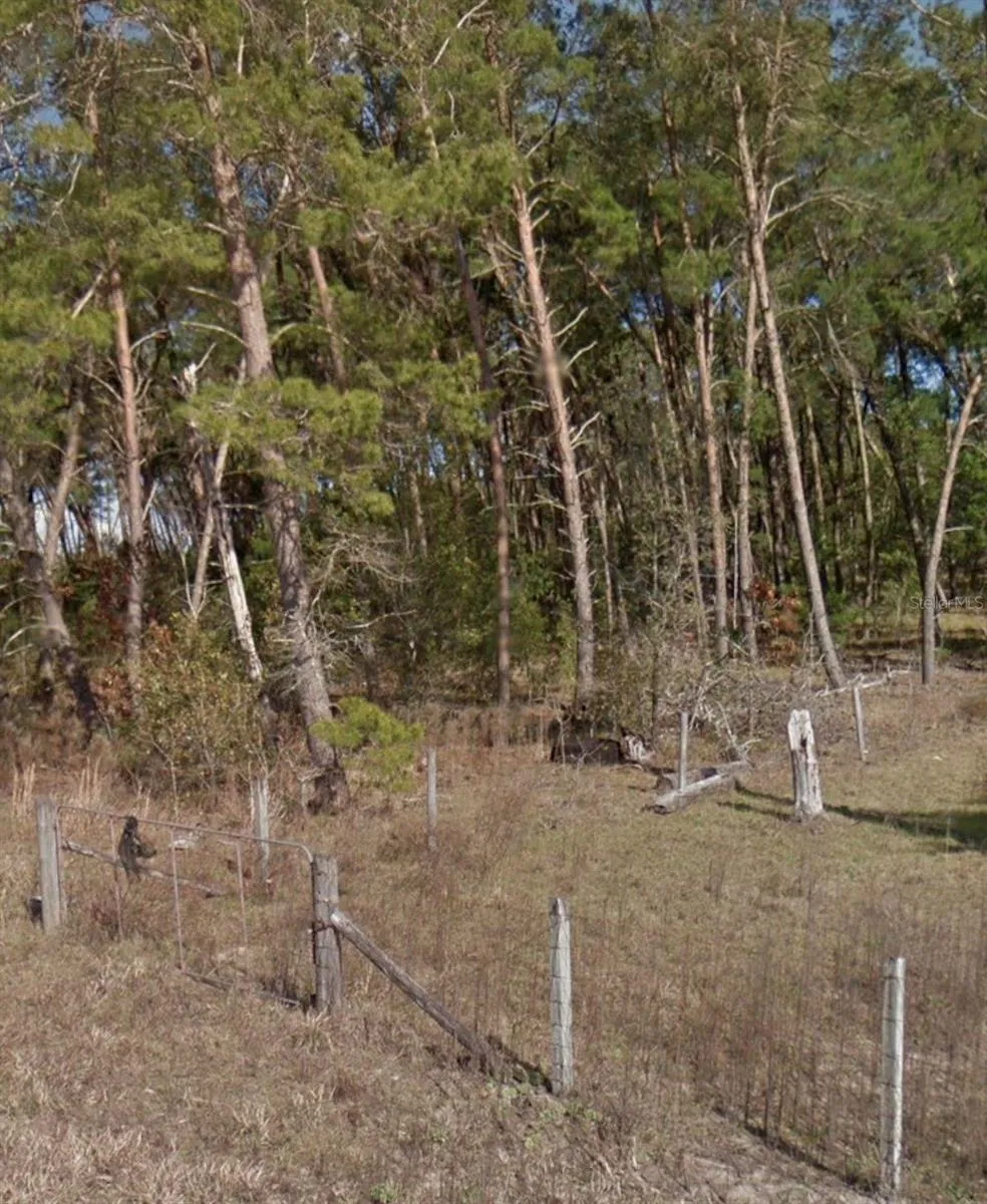 SE 140 AVENUE Williston, FL 32696