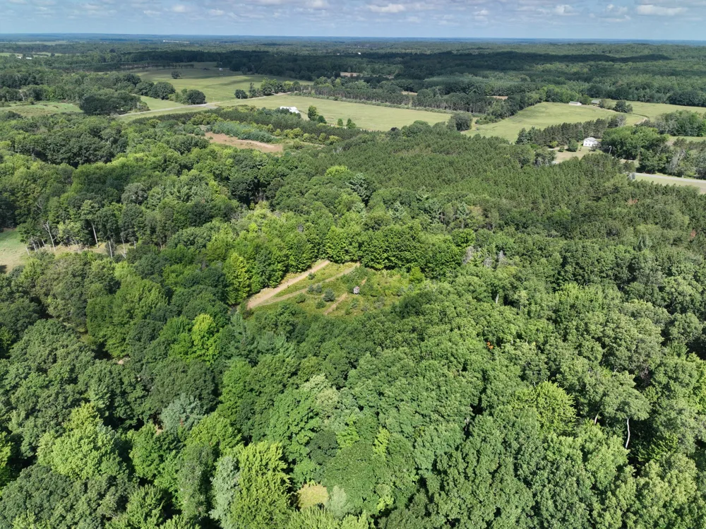 3685 Cypress Road Millbrook Township, MI 49340