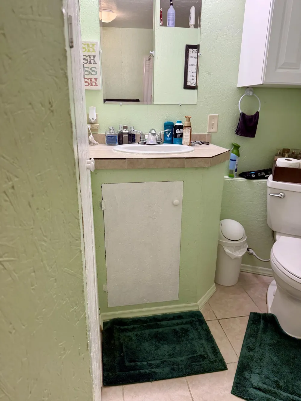 3685 Cypress Road Millbrook Township, MI 49340