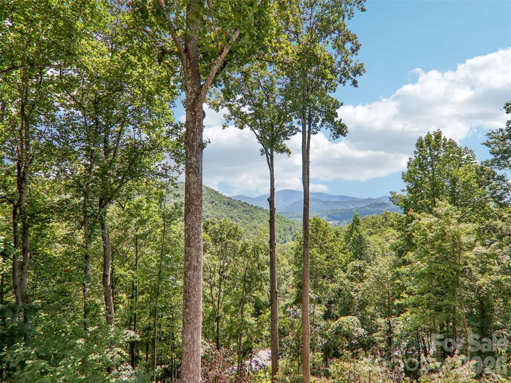 16 Hobe Crest Hendersonville, NC 28792
