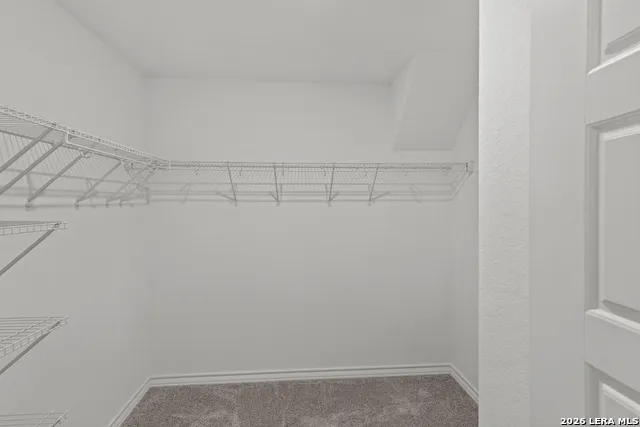 3008 TRUMPET VINE New Braunfels, TX 78130
