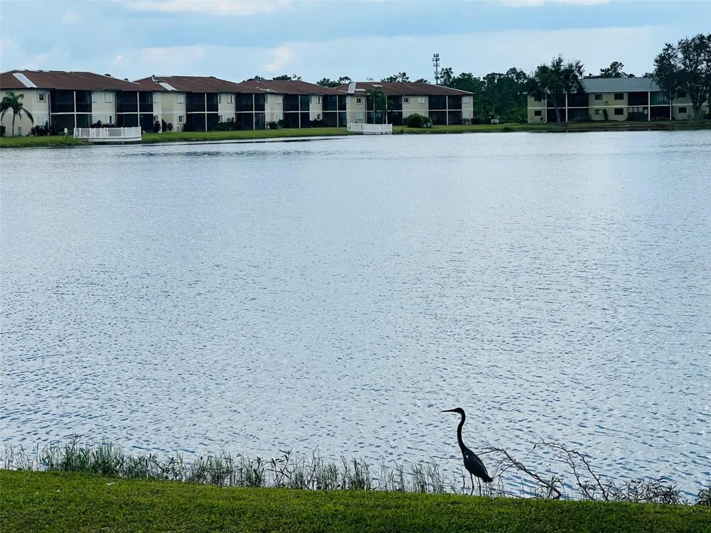 25225 RAMPART BOULEVARD #2005 Punta Gorda, FL 33983