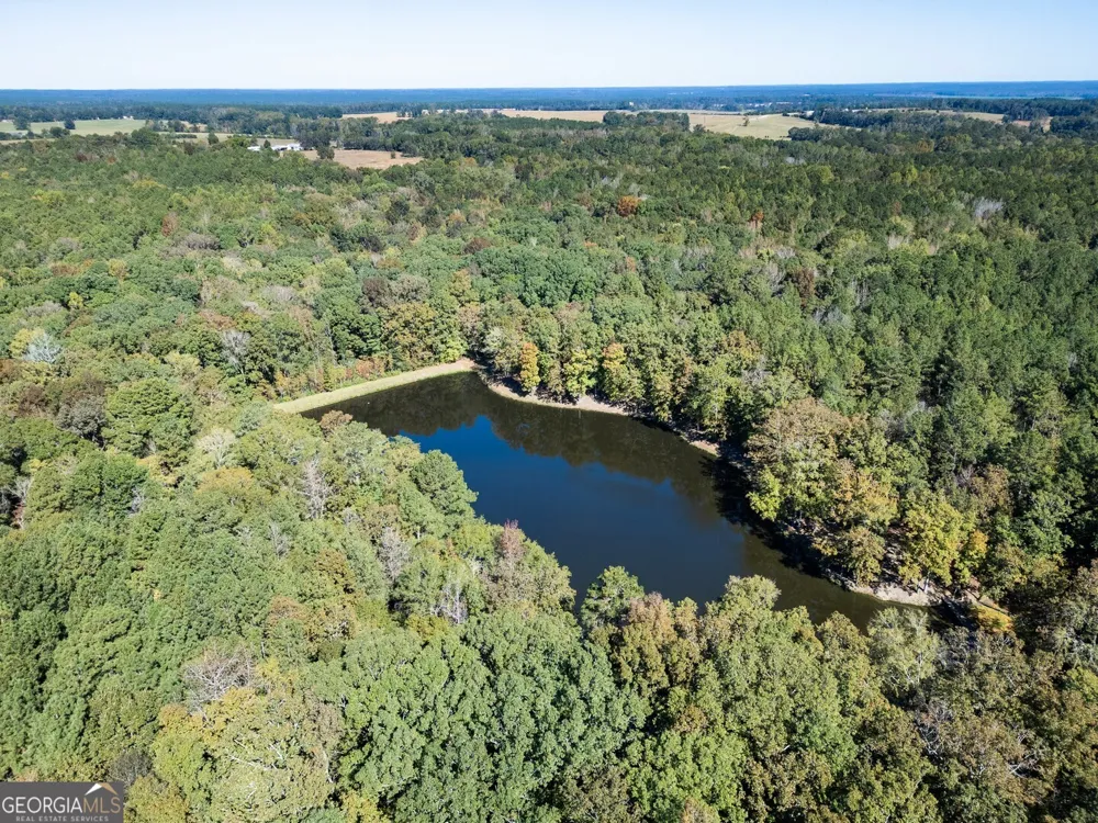 0 Ga Highway 142 Shady Dale, GA 31085