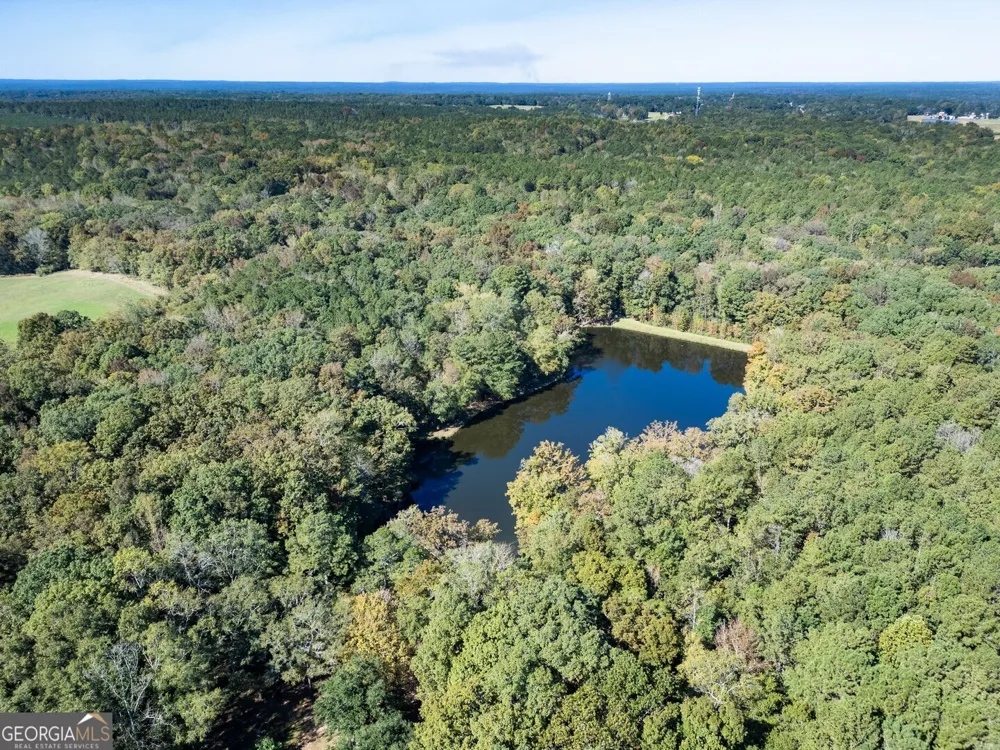 0 Ga Highway 142 Shady Dale, GA 31085