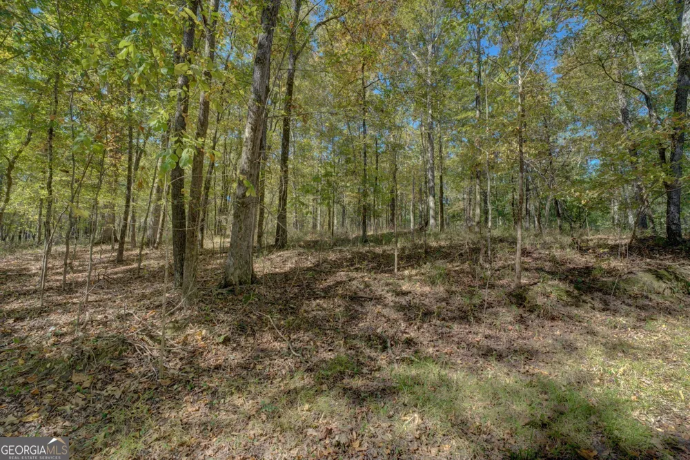 0 Ga Highway 142 Shady Dale, GA 31085