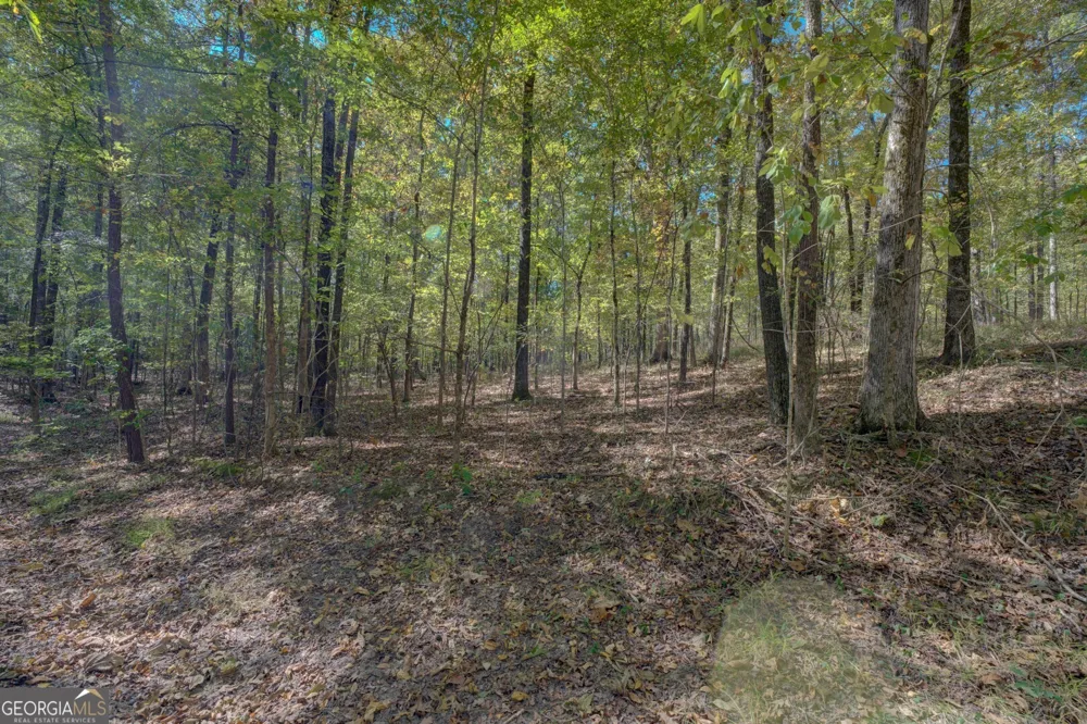 0 Ga Highway 142 Shady Dale, GA 31085