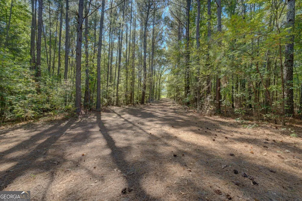0 Ga Highway 142 Shady Dale, GA 31085