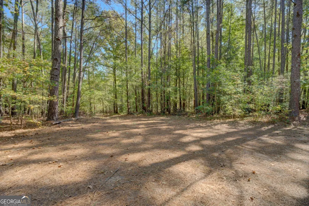 0 Ga Highway 142 Shady Dale, GA 31085