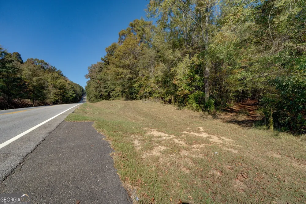 0 Ga Highway 142 Shady Dale, GA 31085
