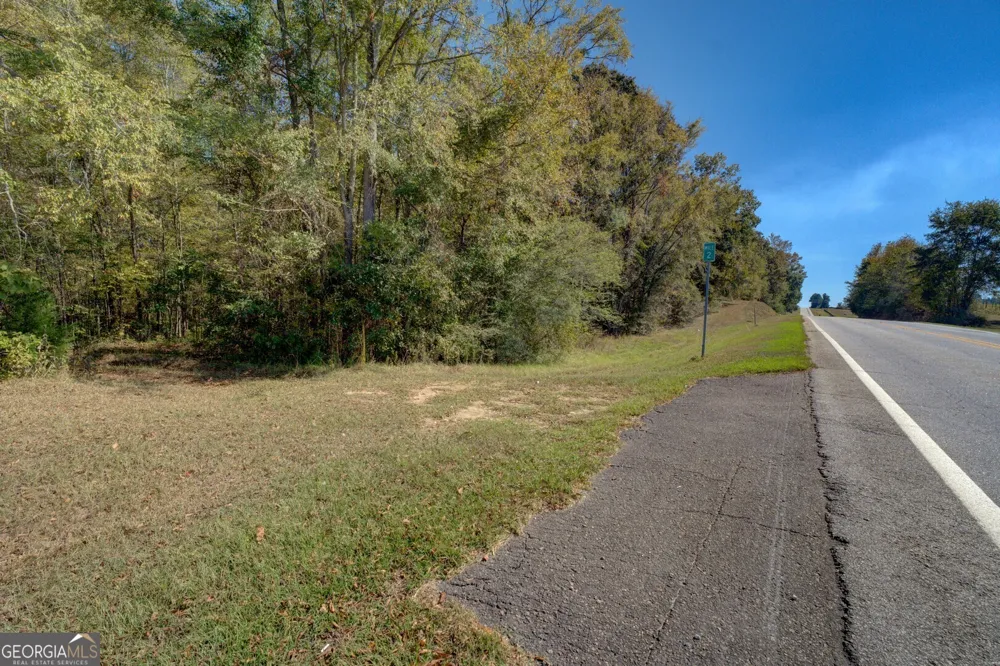 0 Ga Highway 142 Shady Dale, GA 31085