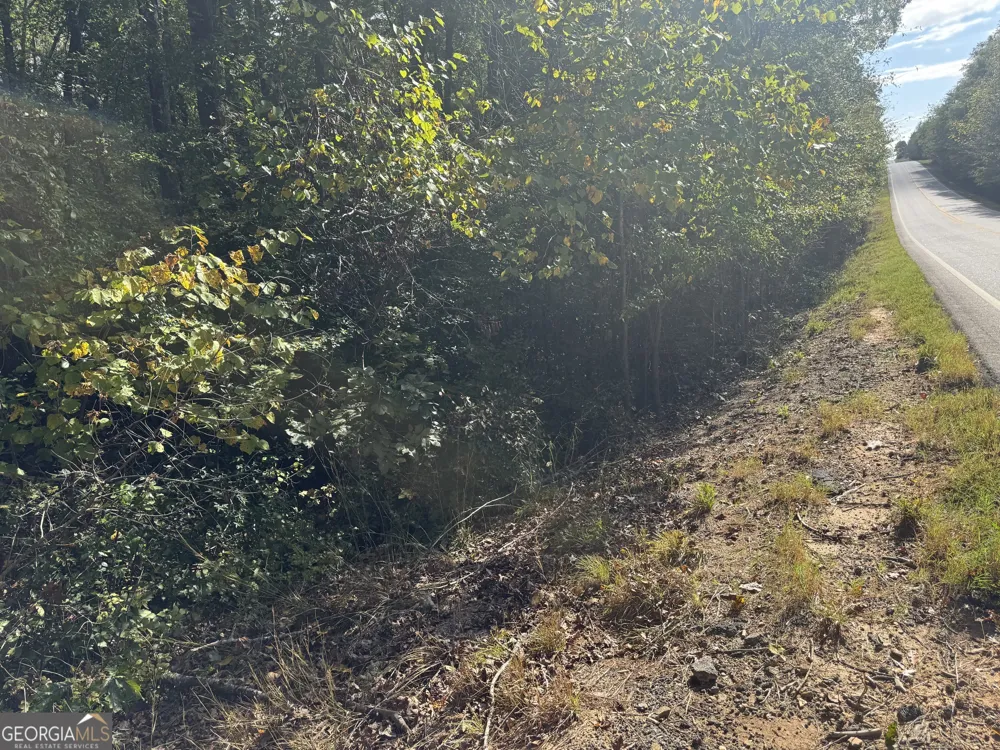 0 Ga Highway 142 Shady Dale, GA 31085
