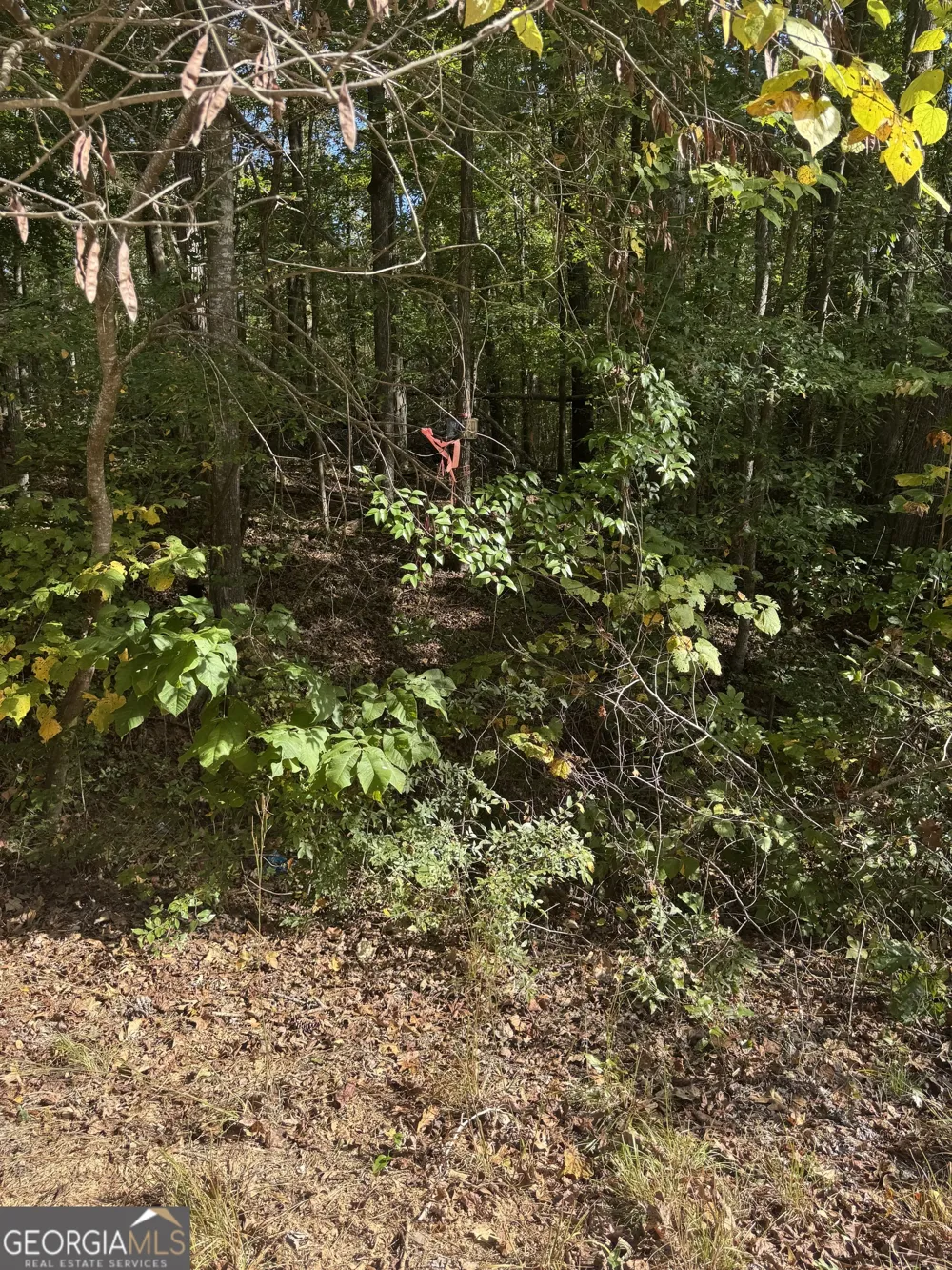 0 Ga Highway 142 Shady Dale, GA 31085
