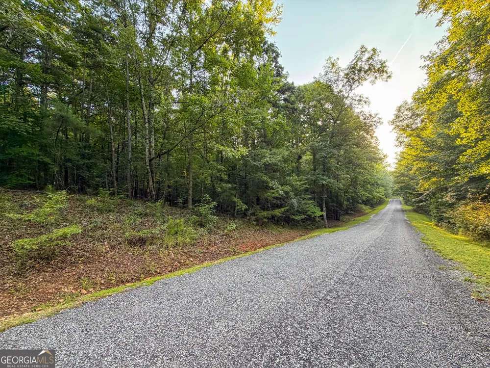 0 Taylor Way Wedowee, AL 36278