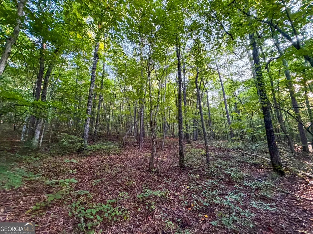 0 Taylor Way Wedowee, AL 36278
