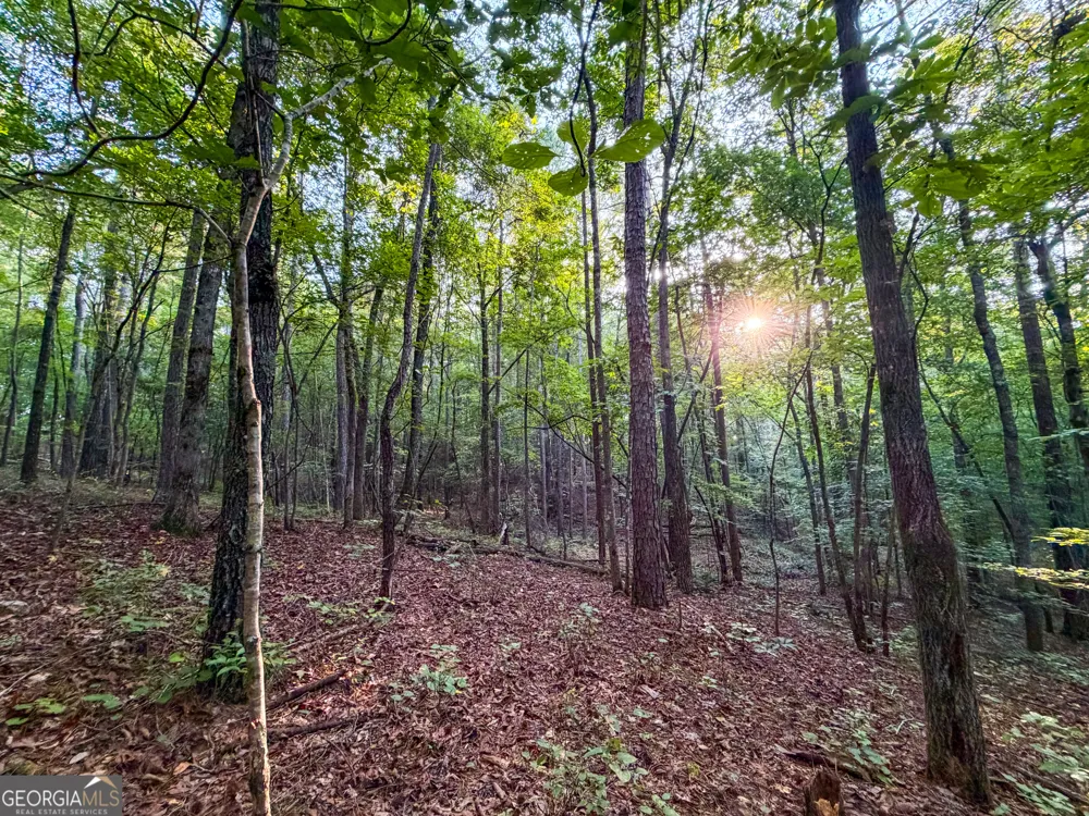 0 Taylor Way Wedowee, AL 36278