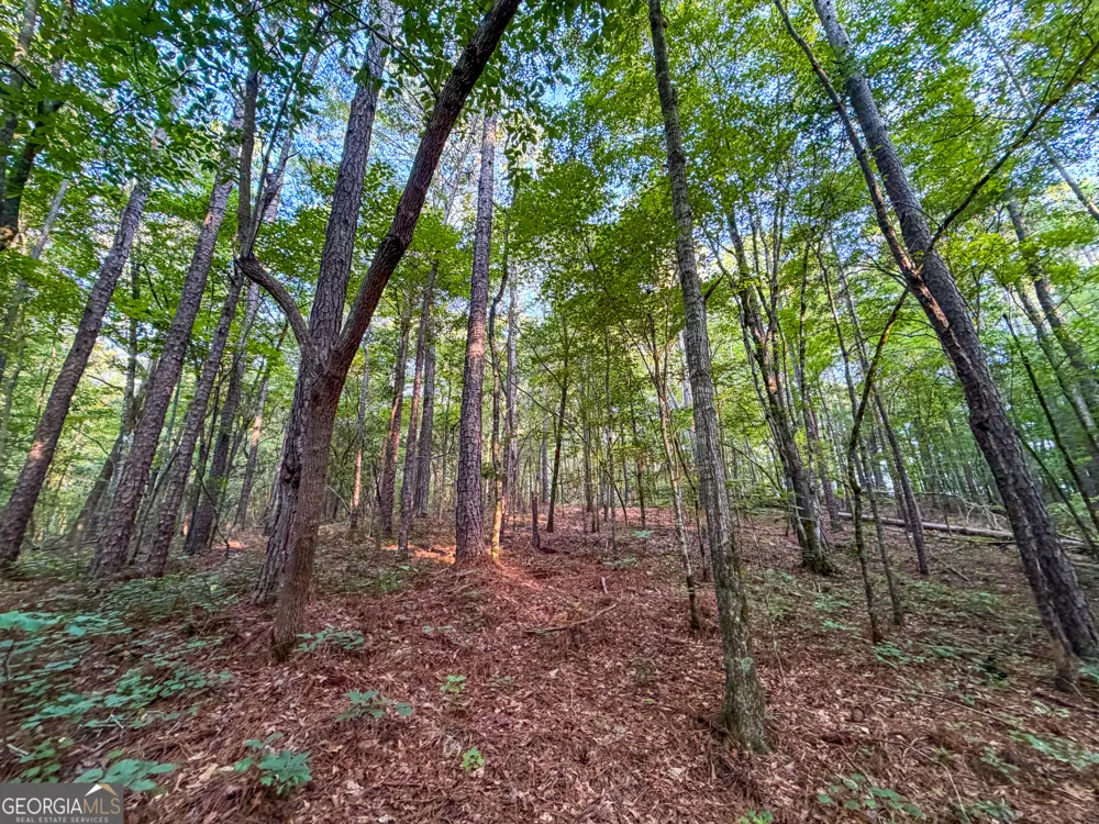 0 Taylor Way Wedowee, AL 36278