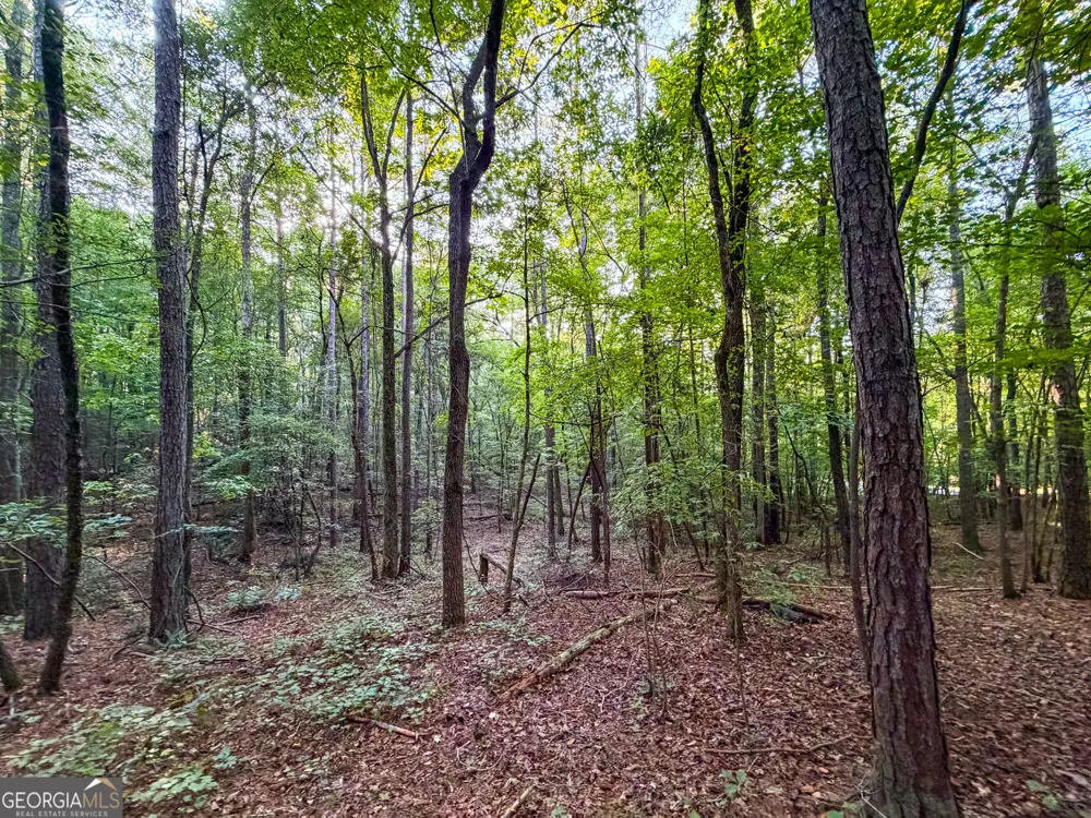 0 Taylor Way Wedowee, AL 36278