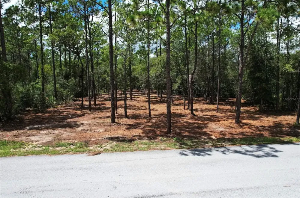 SW 183RD TERRACE Dunnellon, FL 34432
