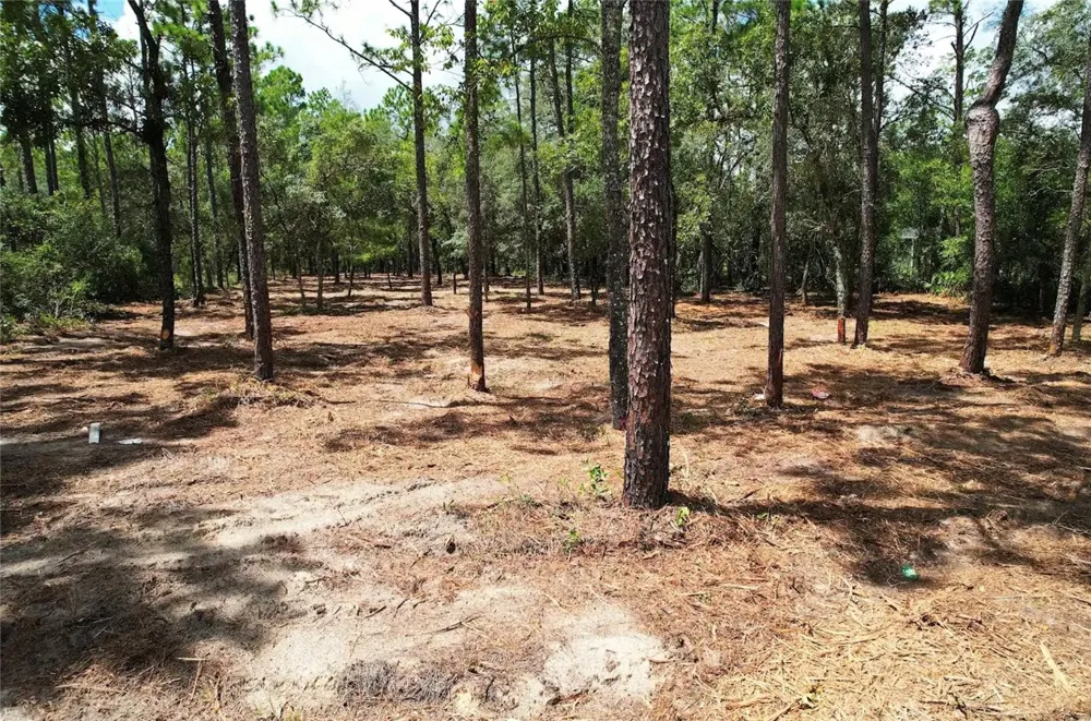 SW 183RD TERRACE Dunnellon, FL 34432