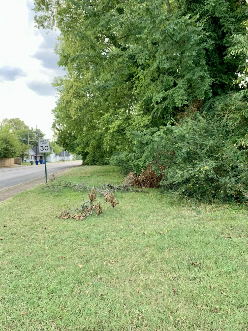 1912 Wilson Street Chattanooga, TN 37406