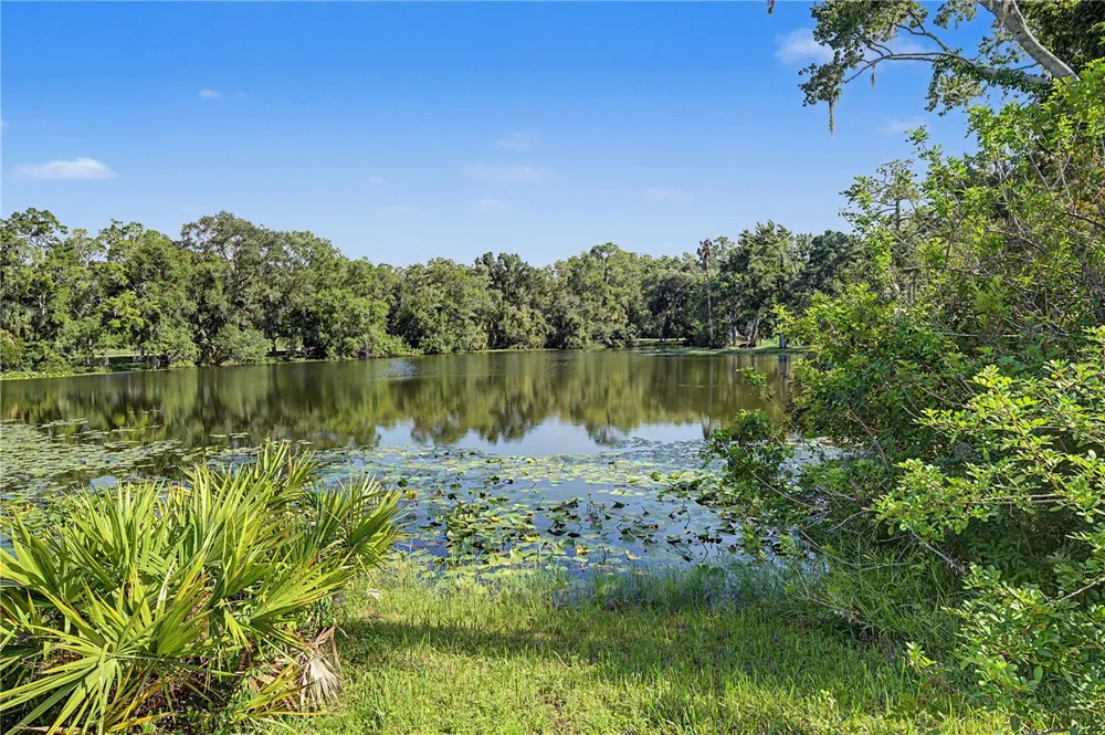 35 GREENHAVEN TRAIL Oldsmar, FL 34677